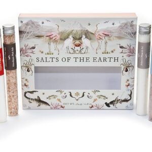 Eat Art - Salt of the Earth - 6 Pack - Image 3