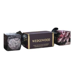 WW Large Cracker - Dark Chocolate Cranberry (box of 6x 168g)